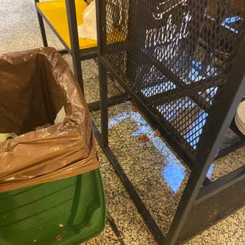 Rixos Hotels Sungate'de Zehirlendim