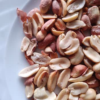 Kundakçı Yer Fıstığı (osmaniyeyerfistigi.com) Bozuk Ve Kurtlanmış Çıktı