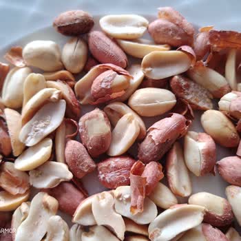 Kundakçı Yer Fıstığı (osmaniyeyerfistigi.com) Bozuk Ve Kurtlanmış Çıktı