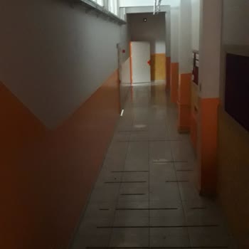 Milli Eğitim Bakanlığı (MEB) 1D Sınıfı Rutubet Sorunu
