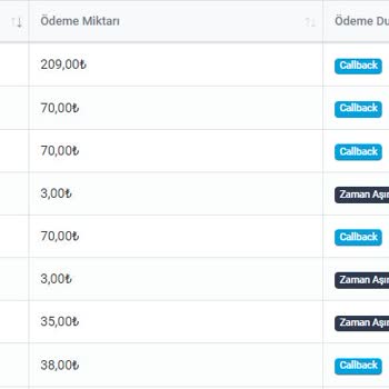 Minecraft Sunucusu İçin Shipy Ödeme Sorunu