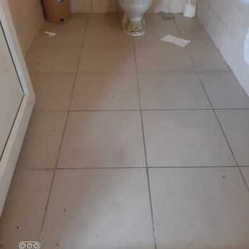 Milli Eğitim Bakanlığı (MEB) Okulda Fare Pislikleri Var Ayıp Artık Ya