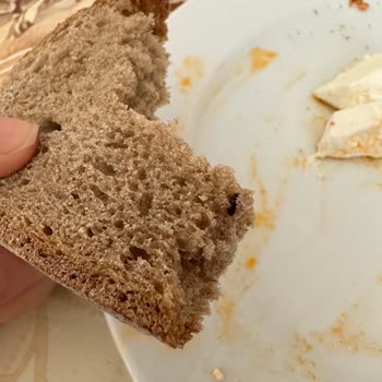 File Marketin Ekmeğinden Böcek Çıkması