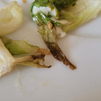 Burger King Sağlıksız Ürün Satışı Yapılıyor!