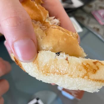 Cajun Corner Şirinevler Şubesindeki Hamburgerden Böcek Çıktı