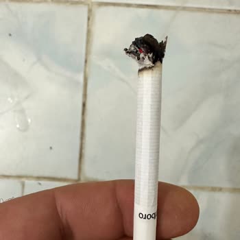 Philip Morris Sigaradan Odun Çıktı