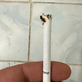 Philip Morris Sigaradan Odun Çıktı