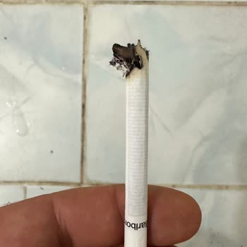 Philip Morris Sigaradan Odun Çıktı