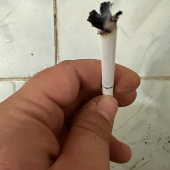 Philip Morris Sigaradan Odun Çıktı