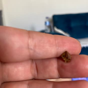 A101 Nimet Pizza'den Taş Çıkması