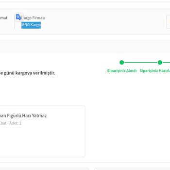 MNG Kargo Paket Adrese Teslim Edilmedi