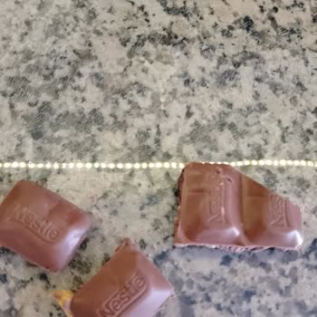 Nestle Damak Çikolatadan Kurt Ve Böcek Çıktı
