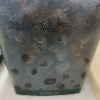 MarmaraBirlik Kuru Sele Küflenen Zeytin