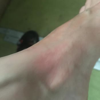 Jorbinol Kalitesiz Ürün Ve Ürünlerinin Arkasında Durmuyorlar