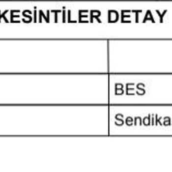 Türkiye Hayat Emeklilik BES 20 Gündür Paramı İşlemiyor