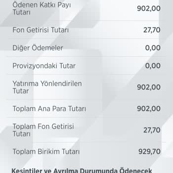 Türkiye Hayat Emeklilik BES 20 Gündür Paramı İşlemiyor