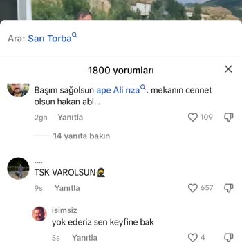 TikTok'ta Saygısız Yorumlar