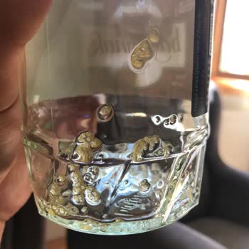 Balparmak Şekerlenme Meydana Geldi