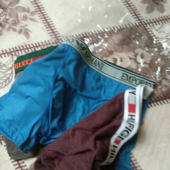 Argan Lojistikten Aldığım Boxer'lerle İlgili Sorun