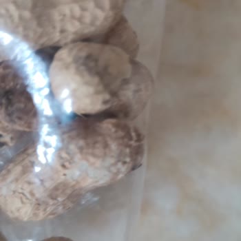 Mertay Kuruyemiş Bayat Tarihi Geçmiş Ürün