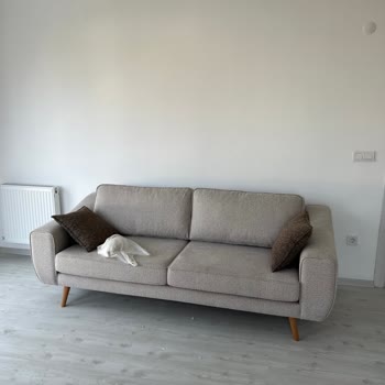 Poli Mobilya AVM Mağazada Farklı Renk Evde Farklı