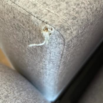 Enza Home Yırtık Gönderilen Koltuk
