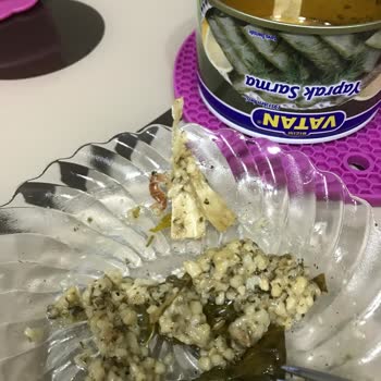 Bizim Vatan Vatan Yaprak Sarma