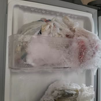 Dijitsu Marka Buzdolabı Dondurucunun Buz Üretmesi
