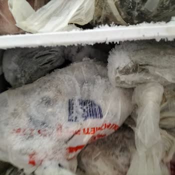 Dijitsu Marka Buzdolabı Dondurucunun Buz Üretmesi