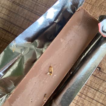 Kinder Chocolate Son Tüketim Tarihi Geçmemesine Rağmen Böceklenmişti