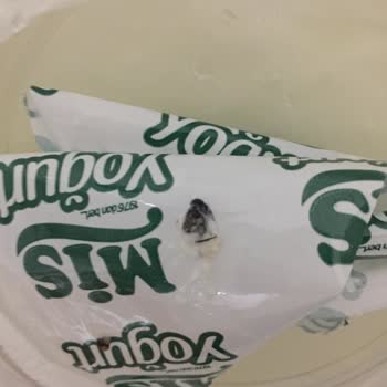 Şok Marketler'den Alınan Mis Marka Yoğurtun İçinden Sinek Çıktı