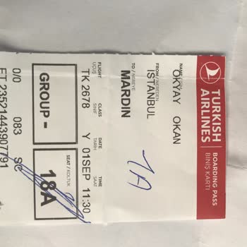 Flight Delays and Lost Luggage on Turkish Airlines