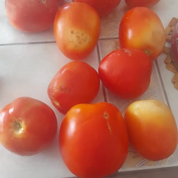 A101 Çürük Ürün Gönderdi