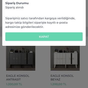 Gönderimi Sağlanmayan, Statüsü Güncellenmeyen Alışveriş. Shopier