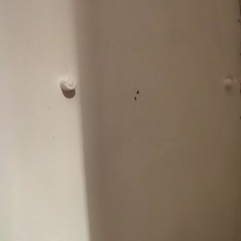 Filli Boya Aqualux Soyuluyor Fiyat Performans Olarak Çok Kötü