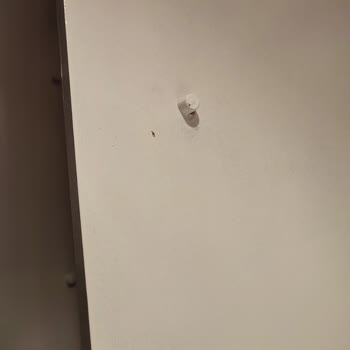 Filli Boya Aqualux Soyuluyor Fiyat Performans Olarak Çok Kötü