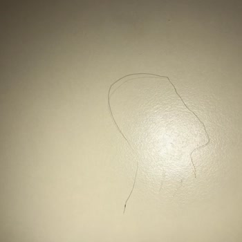 SuperFresh Soğan Halkasının İçinden Kıl Çıktı.