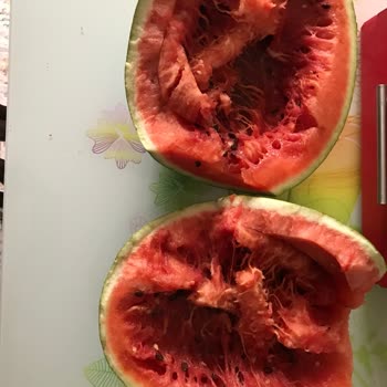 Migros Jet Bozulmuş Ürün Şikayeti.