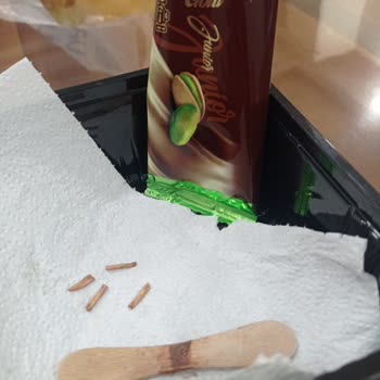 Şok Marketler Dondurmadan Çıkan Cisim