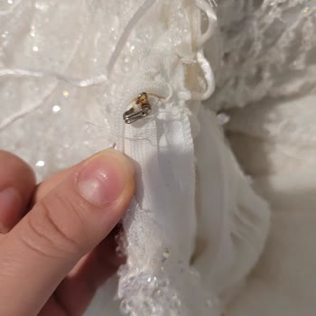 Aydın Taner Gelinlik Sözleşme Diye Senet İmzalattılar