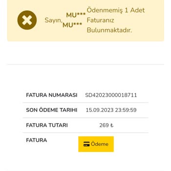 Sadenet Fahiş İnternet Faturası