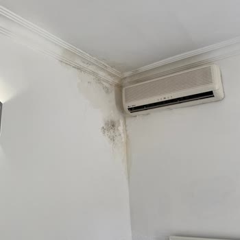 Phoenix Sun Hotel Bodrum Otel Odasıyla İlgili Şikayet