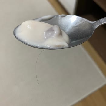 Mis Yoğurttan Kıl Çıktı