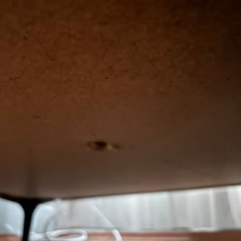 Doğtaş Nova Model Koltuk Tasarım Hatası! Acil Dönüş Bekliyorum!