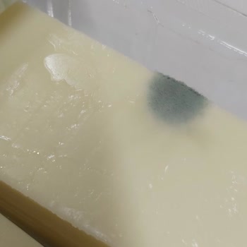 Pınar Et ve Süt Ürün Küflenmiş Çıktı