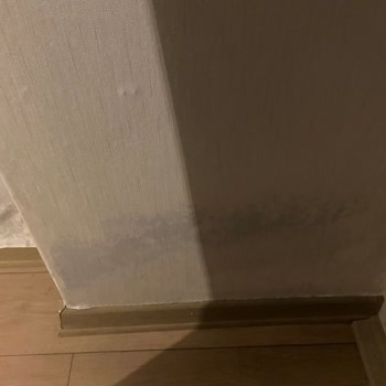 Zeray İnşaat Zeray Forum Anatolia Küf Ve Rutubet Problemi