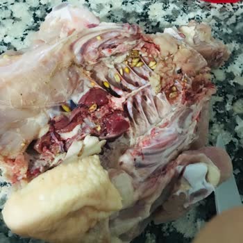 Lezita Bütün Tavuk Temizliği