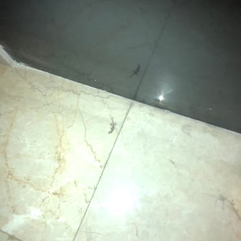 Anemon Hotels Kabus Gibi Bir Otel