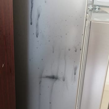 Arçelik Buz Dolabında Boya Akması