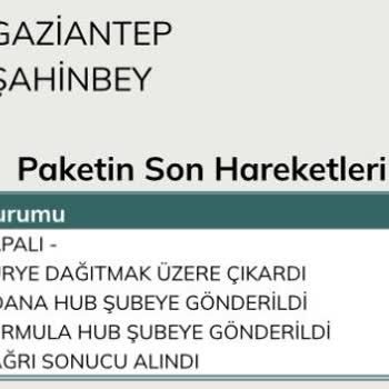 UPS Türkiye Kargo Teslim Edilmemesi